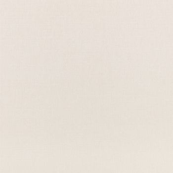 Cotton and Linen Weave Neutrals - Silver Birch