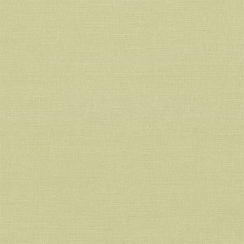 Cotton and Linen Weave Colours - Lovage