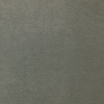 Stain Resistant Velvet Neutrals - Dove