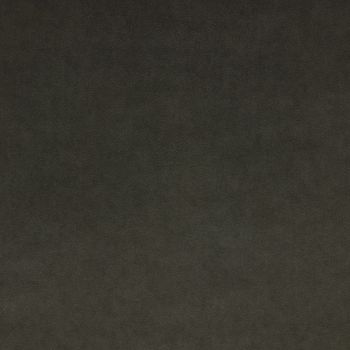 Stain Resistant Velvet Neutrals - Mink