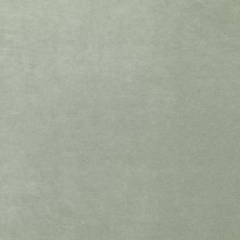 Stain Resistant Velvet Neutrals - Moonbeam