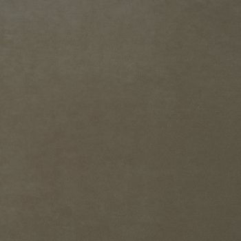 Stain Resistant Velvet Neutrals - Pampas