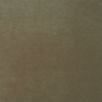 Stain Resistant Velvet Colour - Fallow