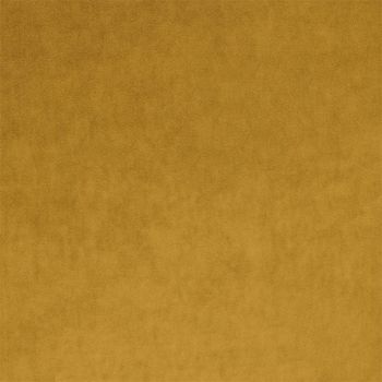 Stain Resistant Velvet Colour - Mustard