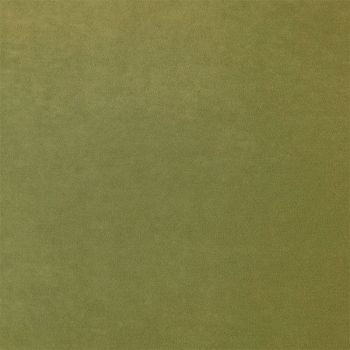 Stain Resistant Velvet Colour - Sage