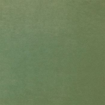 Stain Resistant Velvet Colour - Winter Moss