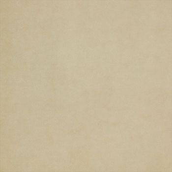 Stain Resistant Velvet Neutrals - Biscuit