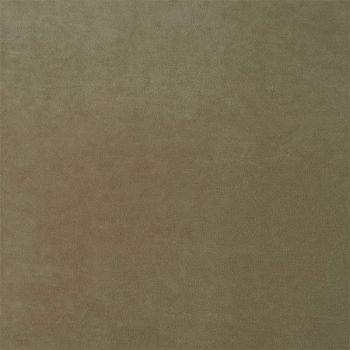 Stain Resistant Velvet Neutrals - Latte