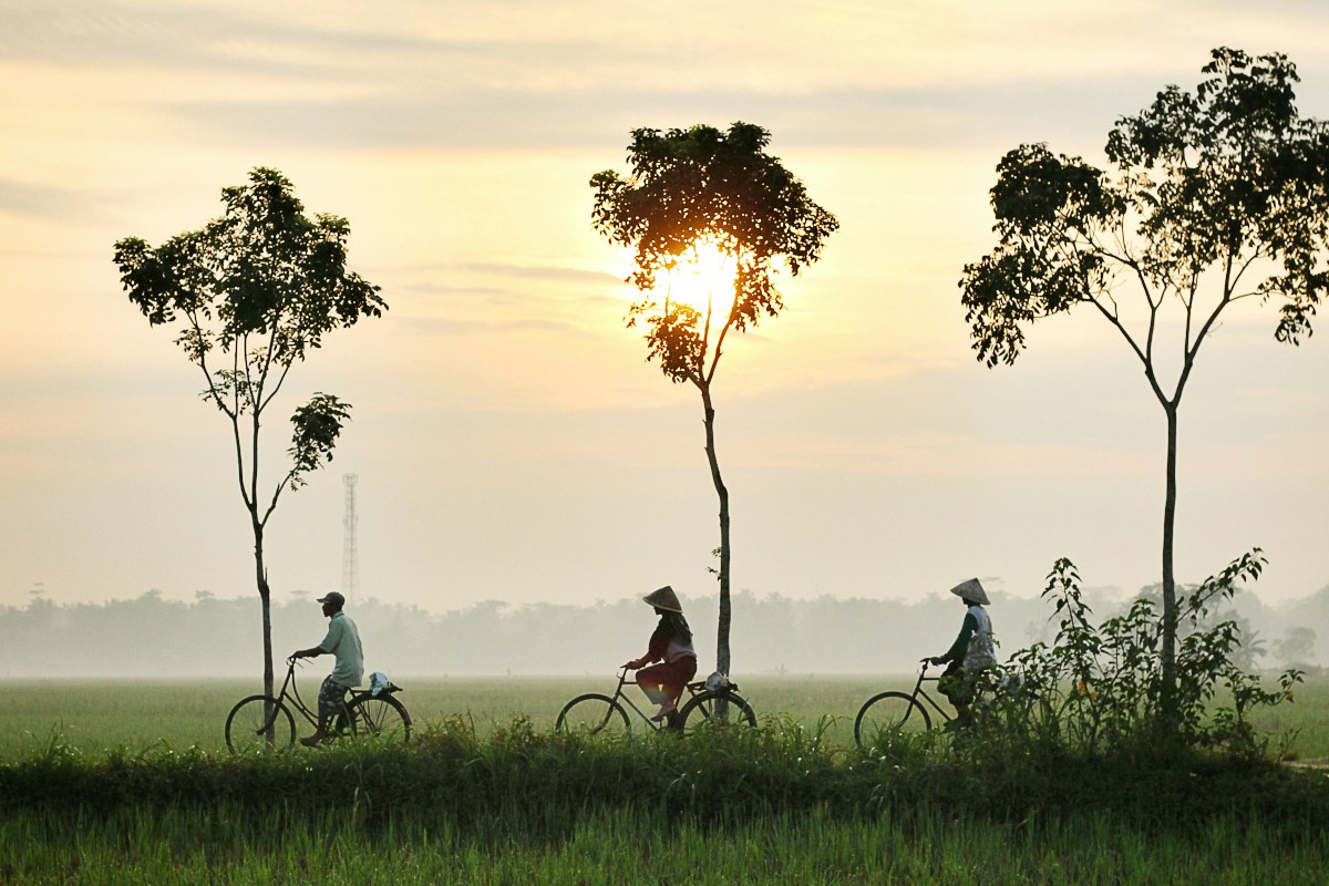 Raft: Leading Sustainable Design for a Greener Future