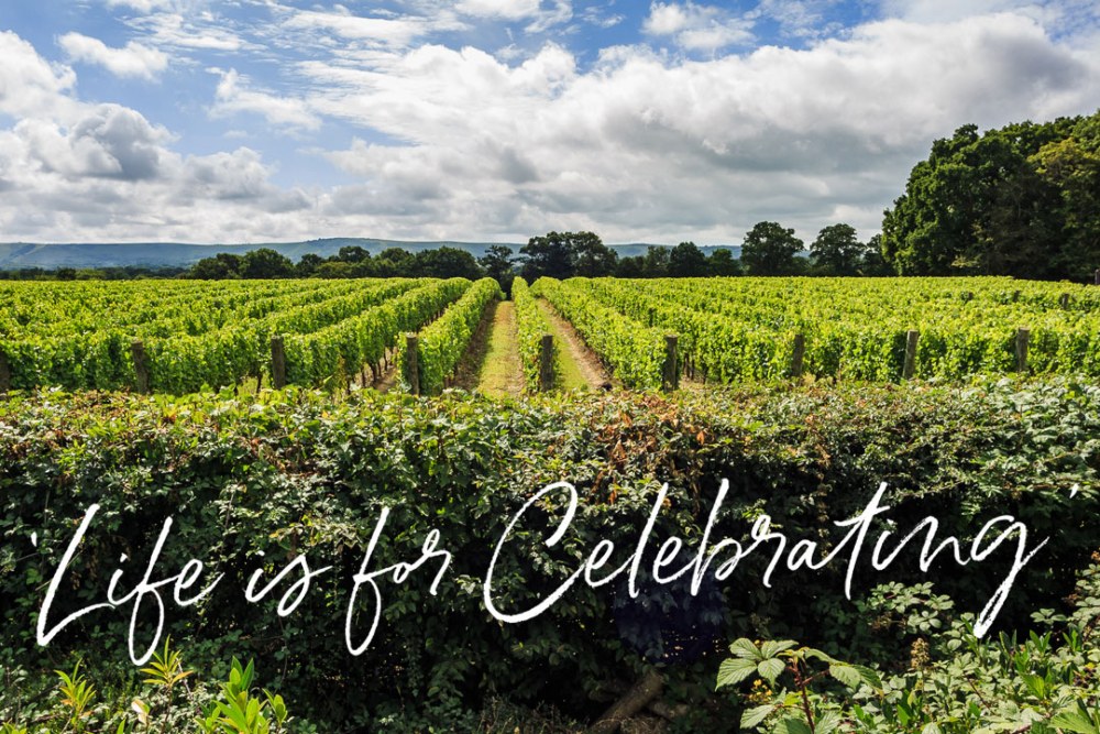 Life is for celebrating ridgeview